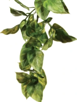 Best Exo Terra Amapallo stor Terrarieplanter