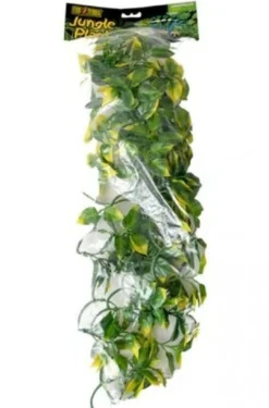 Best Exo Terra Amapallo stor Terrarieplanter