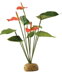 Clearance Exo Terra Anthurium bush Terrarieplanter