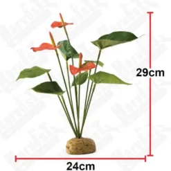 Clearance Exo Terra Anthurium bush Terrarieplanter