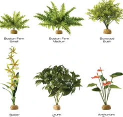 Clearance Exo Terra Anthurium bush Terrarieplanter
