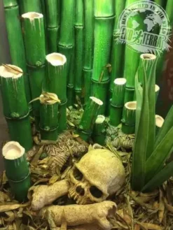 New Exo Terra Bamboo Forest Floor 8,8 liter Dekoration Til Terrarier