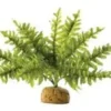 Outlet Exo Terra Boston Fern (lille) Terrarieplanter