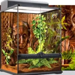 Outlet Exo Terra Boston Fern (lille) Terrarieplanter