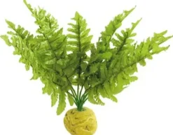 Outlet Exo Terra Boston Fern (lille) Terrarieplanter