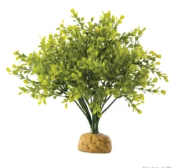 Discount Exo Terra Boxwood bush Terrarieplanter