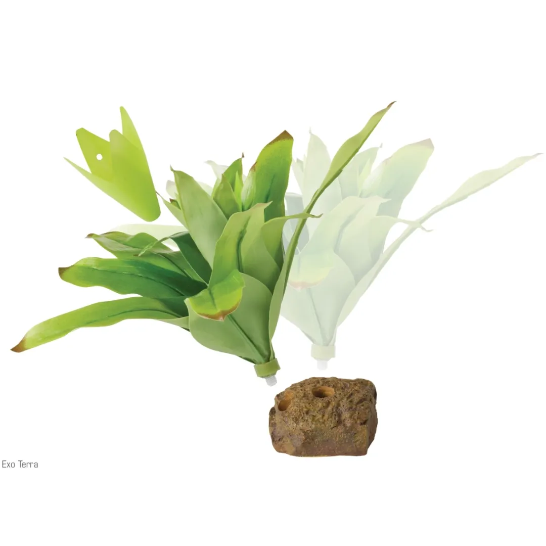 New Exo Terra Bromelia Medium Terrarieplanter