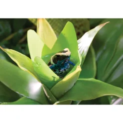 New Exo Terra Bromelia Medium Terrarieplanter