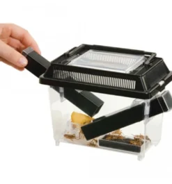 Best Exo Terra Cricket Pen lille Terrarier Og Terrarielamper