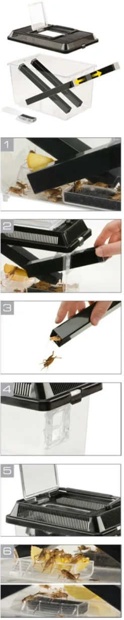 New Exo Terra Cricket Pen stor Terrarier Og Terrarielamper|Foder & Vitaminer Til Krybdyr