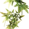 Best Exo Terra Croton lille Terrarieplanter