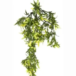 Exo Terra Croton medium Terrarieplanter