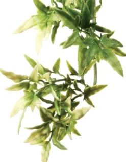 Clearance Exo Terra Croton stor Terrarieplanter