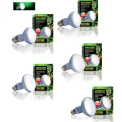 Discount Exo Terra Day Glo Spot 25 watt med UVA Terrarielysstofrør, Pærer Og Varme