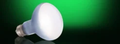 Online Exo Terra Day Glo Spot 150 w med UVA Terrarielysstofrør, Pærer Og Varme