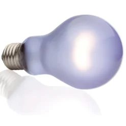Exo Terra Day Glo 100 watt A21 med UVA Terrarielysstofrør, Pærer Og Varme