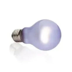 Discount Exo Terra Day Glo 150 watt A21 med UVA Terrarielysstofrør, Pærer Og Varme