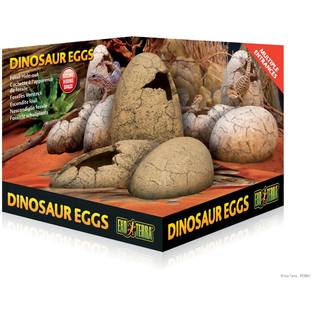 Discount Exo Terra Dinosaur Æg Lille Huler Til Terrarier