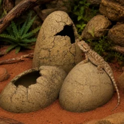 Discount Exo Terra Dinosaur Æg Lille Huler Til Terrarier