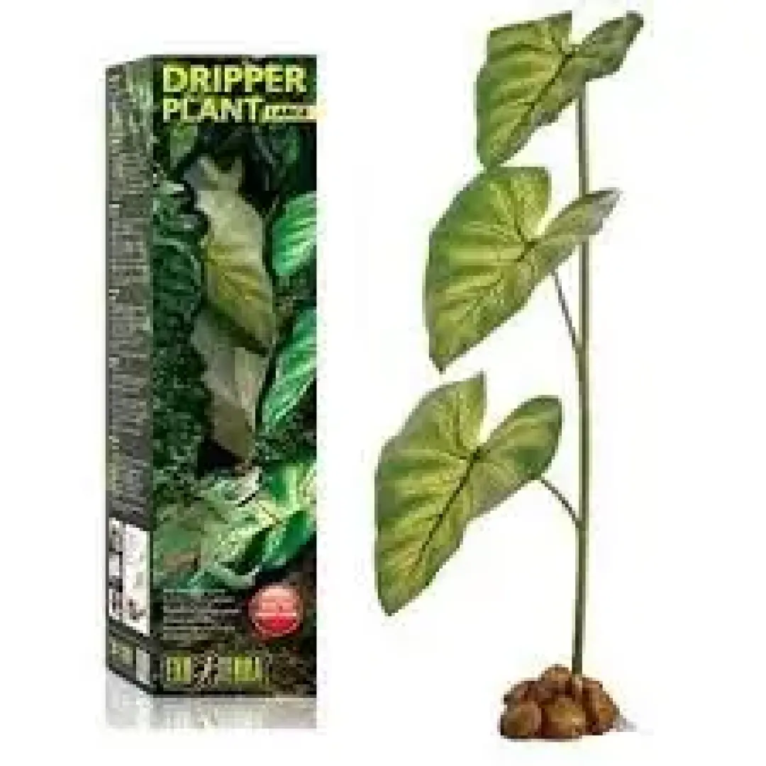 Best Exo Terra Dripping plante med pumpe lille Terrarieplanter