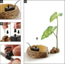 Best Exo Terra Dripping plante med pumpe lille Terrarieplanter