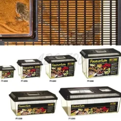 Sale Exo Terra Faunarium mellem (HPT2260) Terrarier Og Terrarielamper
