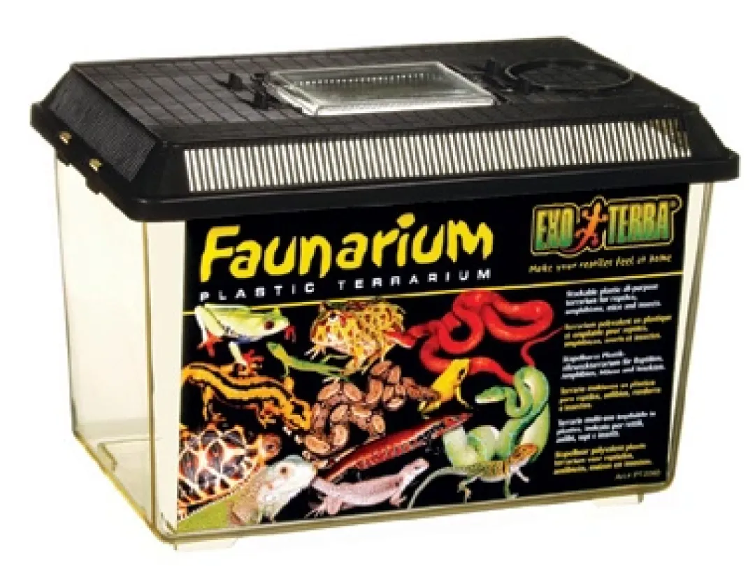 Sale Exo Terra Faunarium mellem (HPT2260) Terrarier Og Terrarielamper