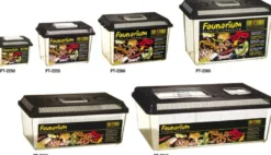 Online Exo Terra Faunarium mini (HPT2250) Terrarier Og Terrarielamper