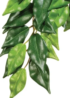 Online Exo Terra Ficus stor Terrarieplanter