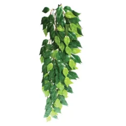 Online Exo Terra Ficus stor Terrarieplanter