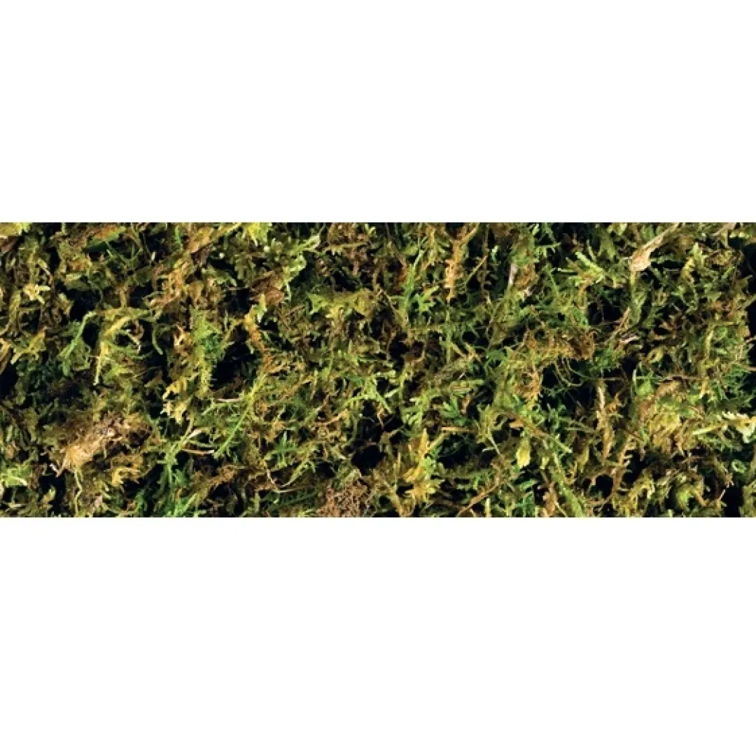 Sale Exo Terra Forest Moss 2 x 7 liter Dekoration Til Terrarier