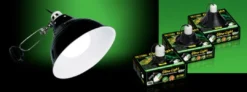 Online Exo Terra Glow light lampe lille Terrarier Og Terrarielamper