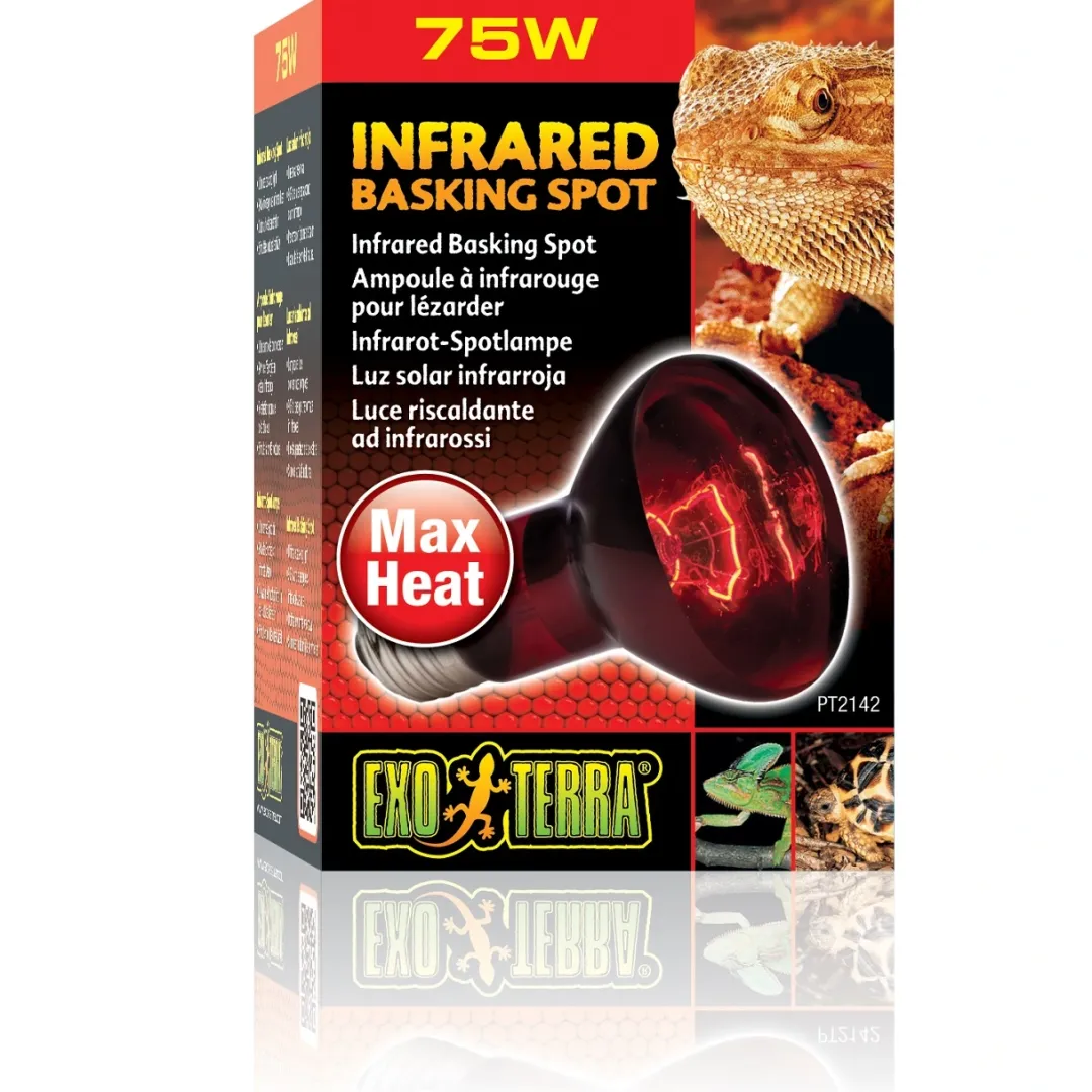 Best Exo Terra Heat Glo Infrarød spot 75 w Terrarielysstofrør, Pærer Og Varme