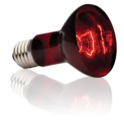 Best Exo Terra Heat Glo Infrarød spot 75 w Terrarielysstofrør, Pærer Og Varme