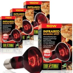 Discount Exo Terra Heat Glo Infrarød spot 100 w Terrarielysstofrør, Pærer Og Varme