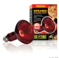 Best Exo Terra Heat Glo Infrarød spot 150 w Terrarielysstofrør, Pærer Og Varme