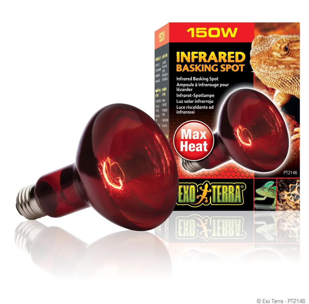 Best Exo Terra Heat Glo Infrarød spot 150 w Terrarielysstofrør, Pærer Og Varme