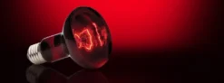 Best Exo Terra Heat Glo Infrarød spot 150 w Terrarielysstofrør, Pærer Og Varme