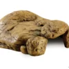 New Exo Terra Hule xl Huler Til Terrarier