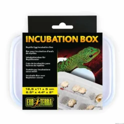 Hot Exo Terra Incubation Box - Sikker rugning af reptilæg Tilbehør Til Terrarier