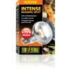 Clearance Exo Terra Intense Basking Spot 100 W - Effektiv UVA-varmespot til terrarier Terrarielysstofrør, Pærer Og Varme