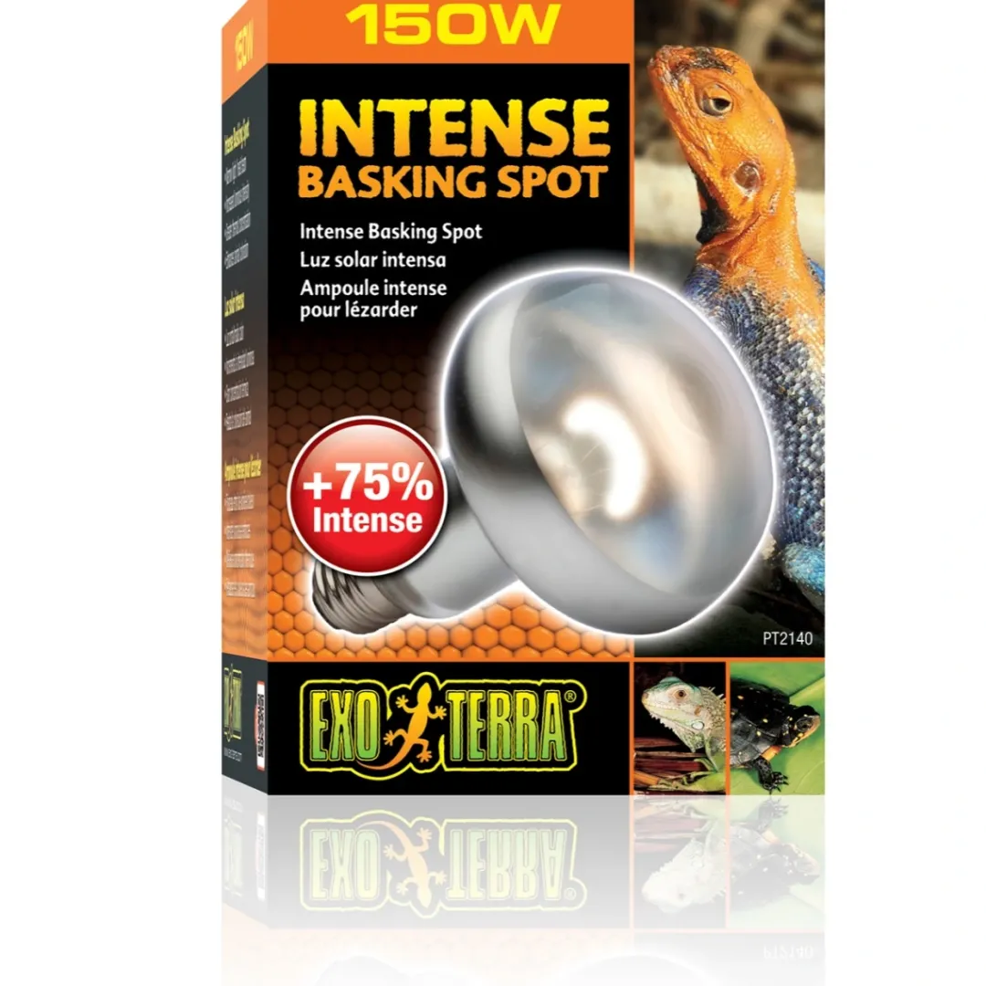 Discount Exo Terra Intense Basking Spot 150 W - Effektiv UVA-varmespot til terrarier Terrarielysstofrør, Pærer Og Varme