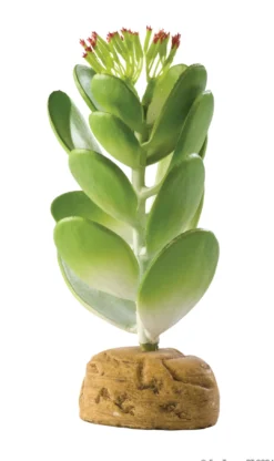 New Exo Terra Jade kaktus Terrarieplanter