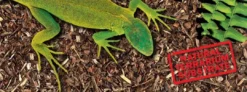 Discount Exo Terra Jungle Earth 26,4 liter Dekoration Til Terrarier