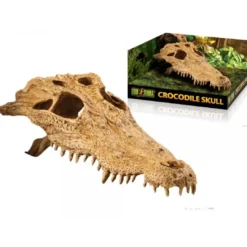 Discount Exo Terra Krokodille kranie Dekoration Til Terrarier