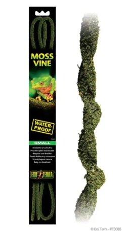 Clearance Exo Terra Lian med mos (lille) Terrarieplanter|Dekoration Til Terrarier