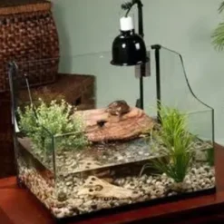 New Exo Terra Light Dome lille Terrarier Og Terrarielamper