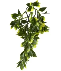 Sale Exo Terra Mandarin lille Terrarieplanter