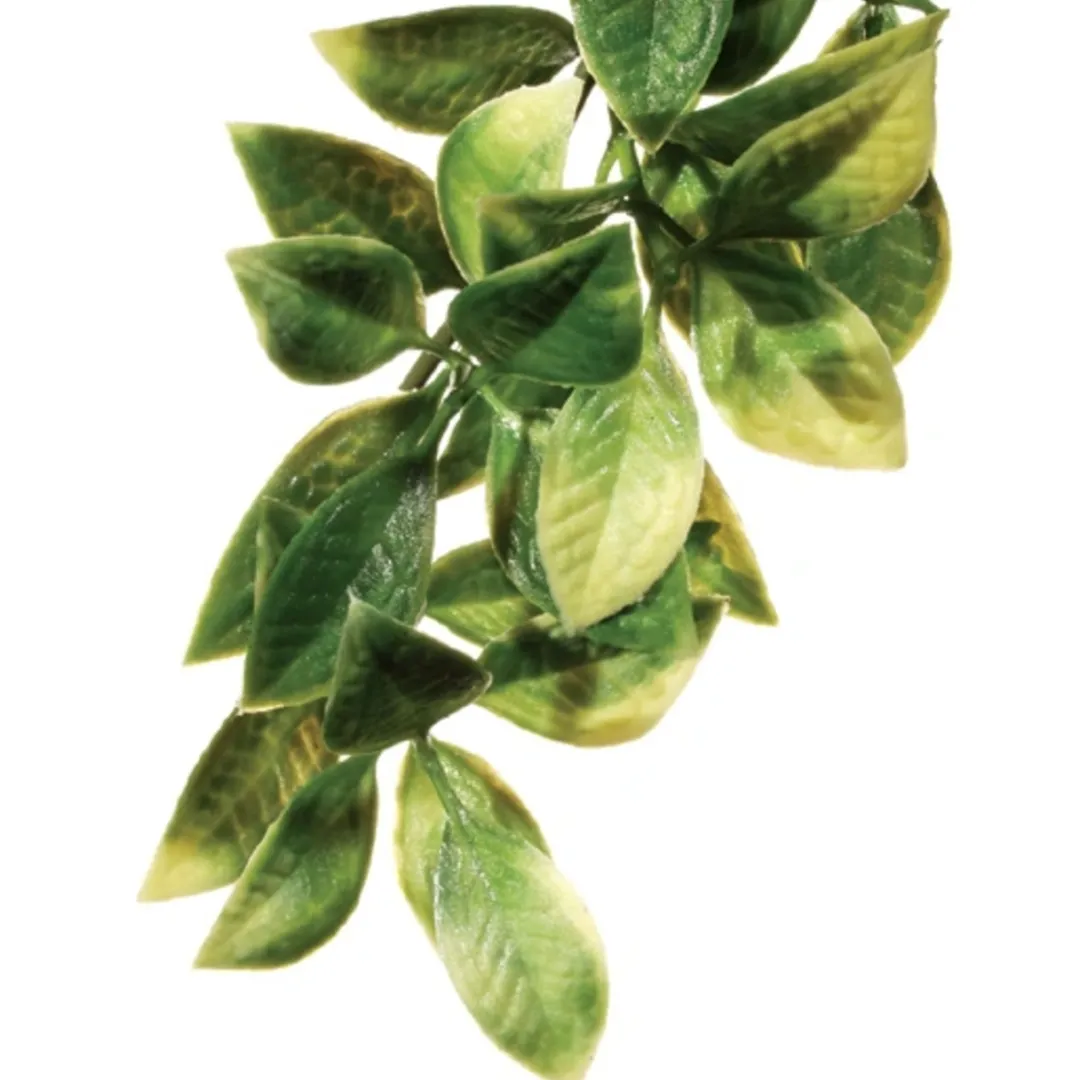 New Exo Terra Mandarin medium Terrarieplanter