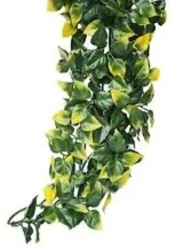 Hot Exo Terra Mandarin stor Terrarieplanter